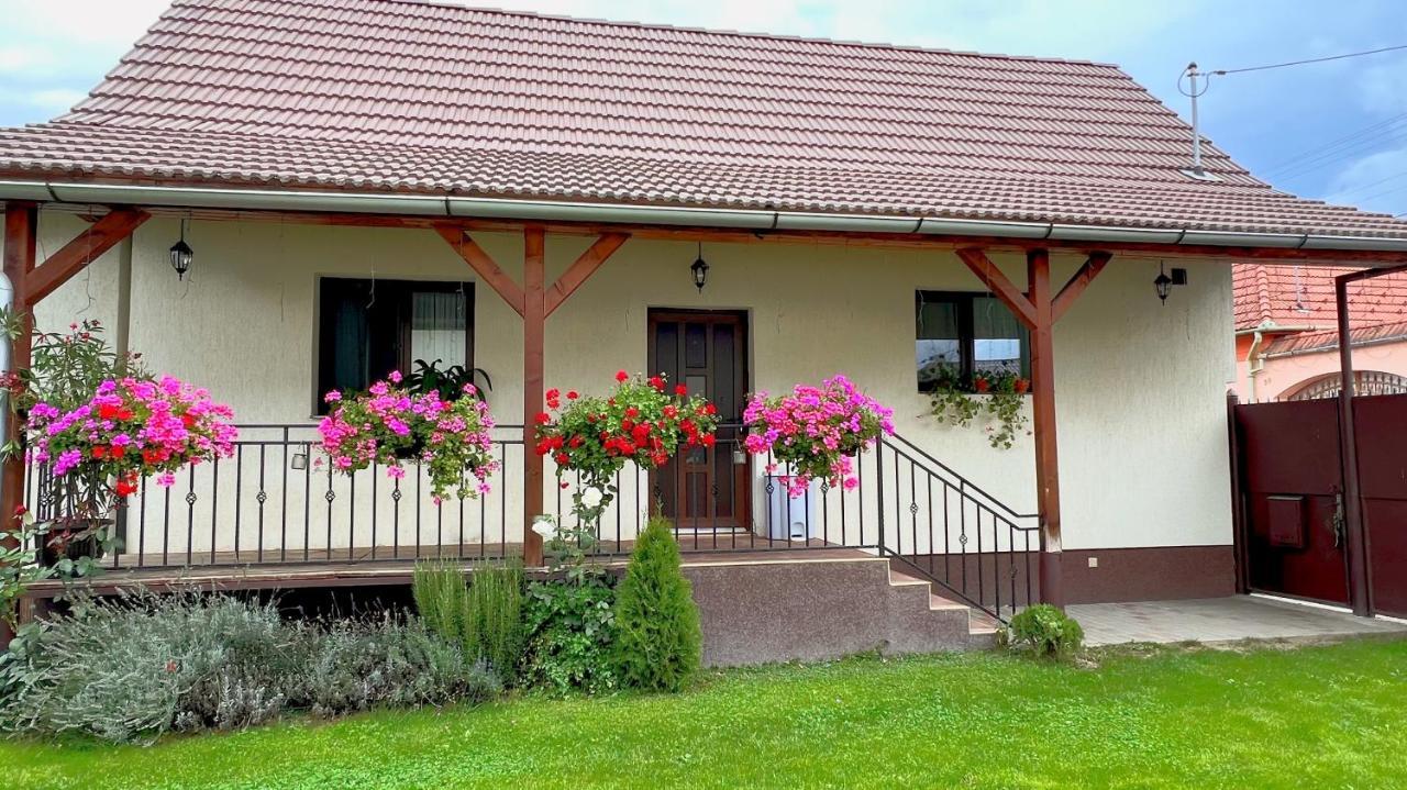 Vila Siebenbuerger Haus Sibiu Exteriér fotografie