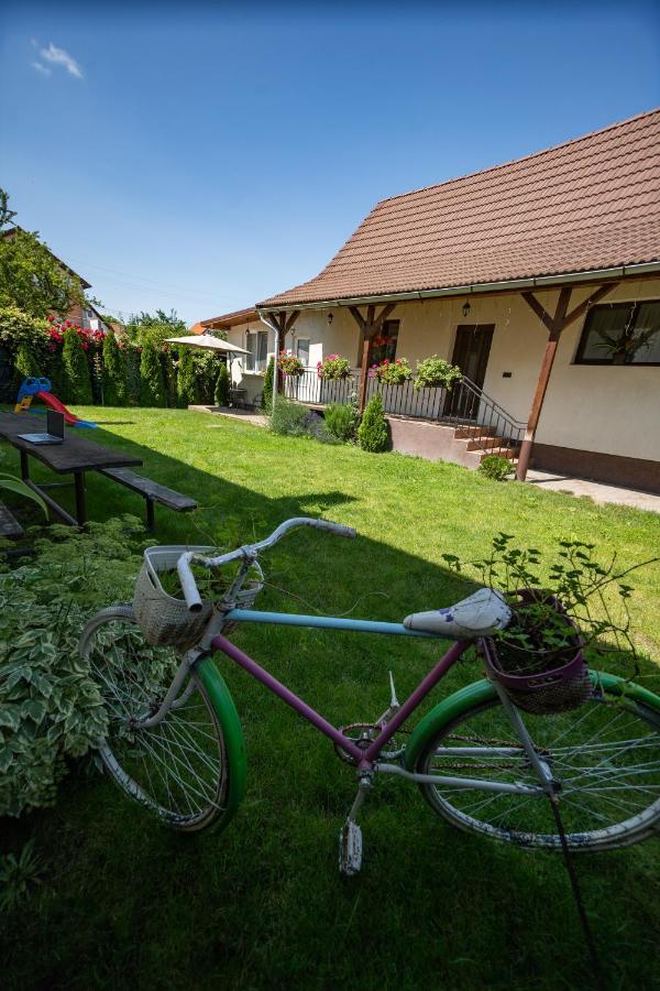 Vila Siebenbuerger Haus Sibiu Exteriér fotografie